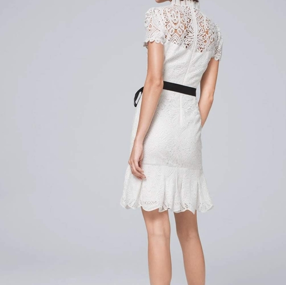 White House Black Market Lace Dress in White and Black - Picture 7 of 13